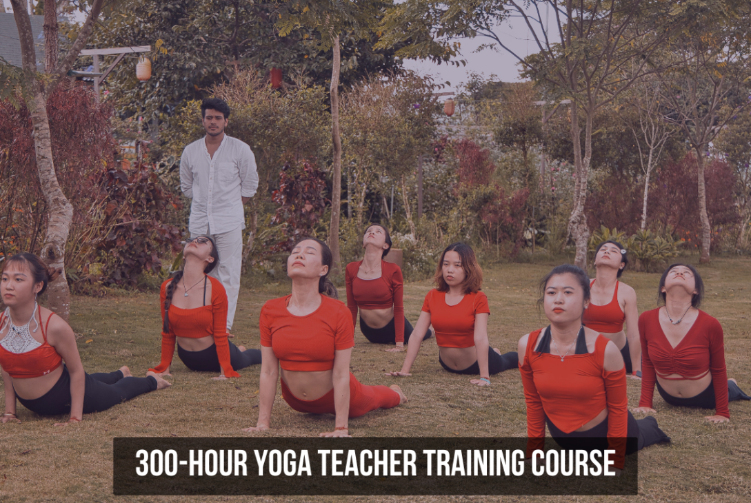 300-Hour Yoga Teacher Training Guide for Beginners