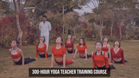 300-Hour Yoga Teacher Training Guide for Beginners